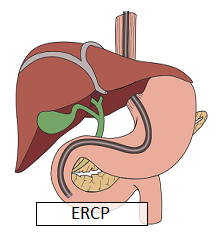 top 10 gastroenterologist in pune